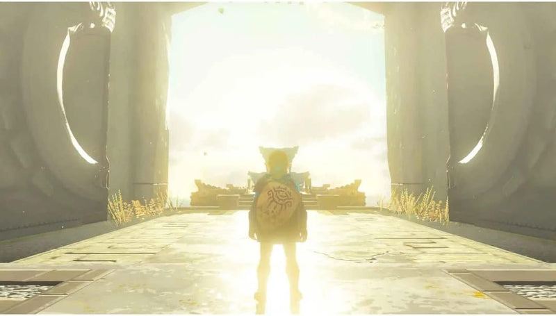 Games Nintendo Switch Zelda Tears of Kingdom